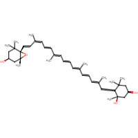 neoxanthin